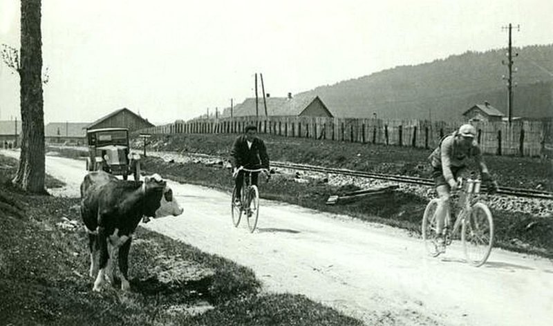 Корова наблюдает за бельгийским велосипедистом Жюлем Буйссе, который выиграл первый этап Тур де Франс в 1926 году