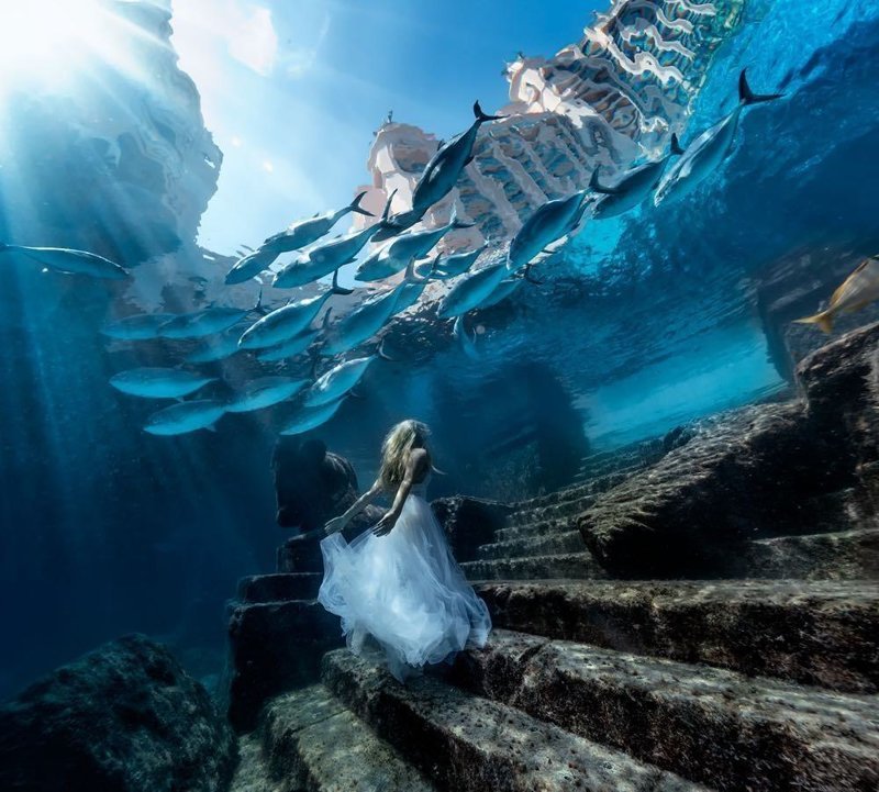 Невеста из подводного царства