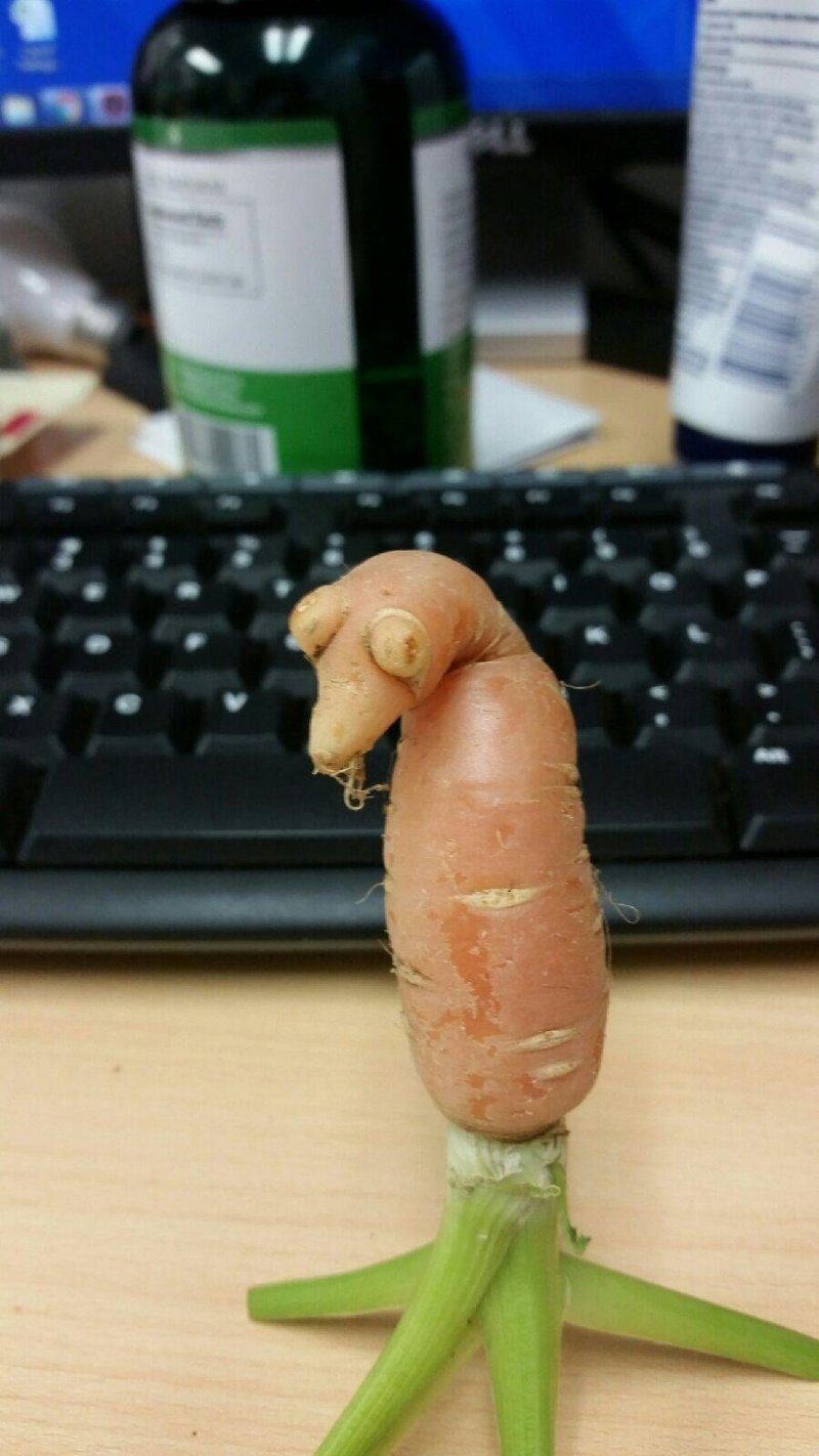 Морковное существо