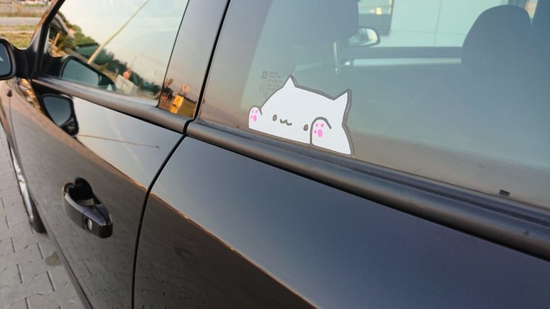 Котенок в машине
