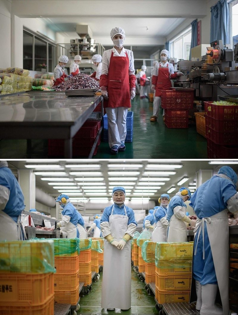 Вверху — 27-летняя работница пищевого предприятия недалеко от портового города Вонсан, Северная Корея. Внизу — 49-летняя женщина, работающая на заводе Spam, Сеул