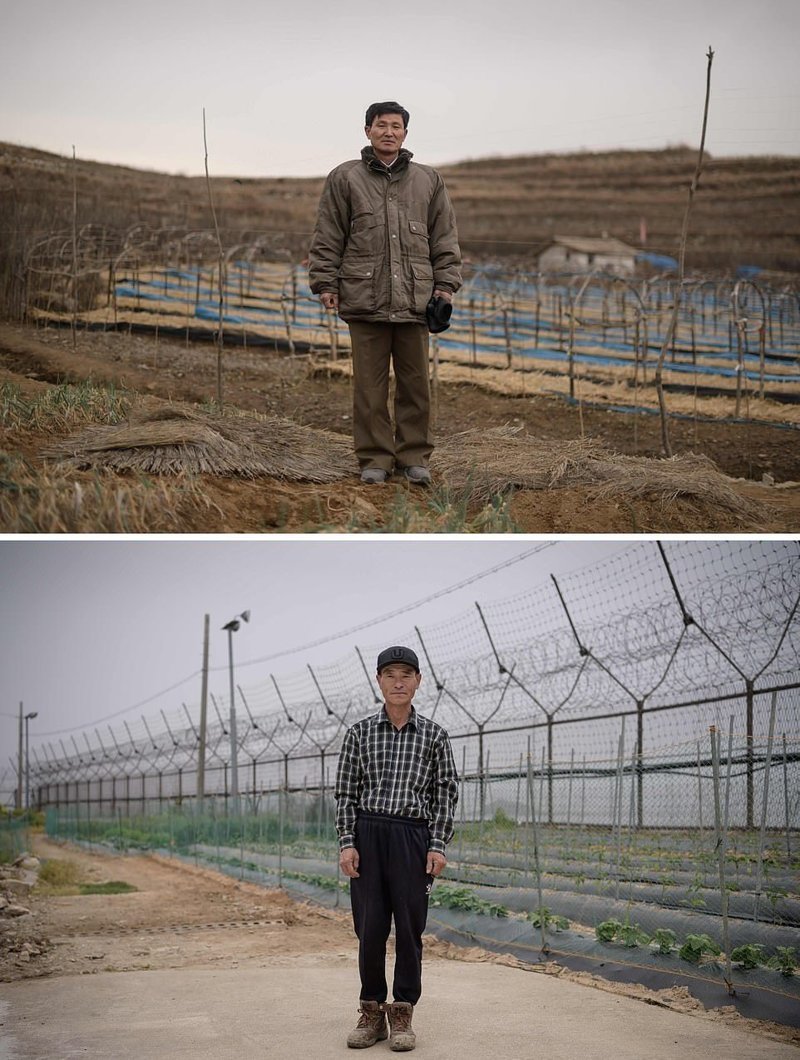 Вверху — фермер на фоне поля женьшеня, северокорейский город Кэсон. Внизу — также фермер стоит на своем поле, которое находится около забора демилитаризованной зоны — границы между Северной и Южной Кореей