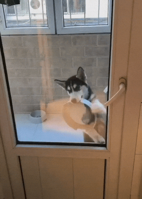 Подайте на пропитание