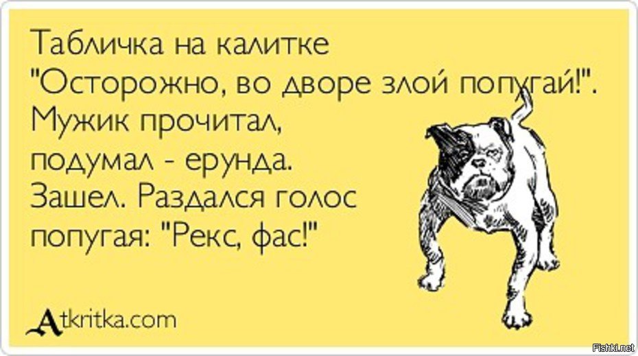 Русский мат приколы. Анекдоты про собак. Шутки про собак. Смешные фразы про собак. Высказывания про собак прикольные.