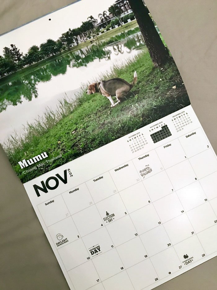 Календарь на 2019 год с изображениями какающих собак