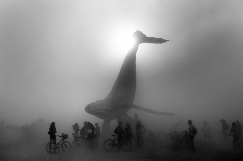 Инсталляция на фестивале Burning Man