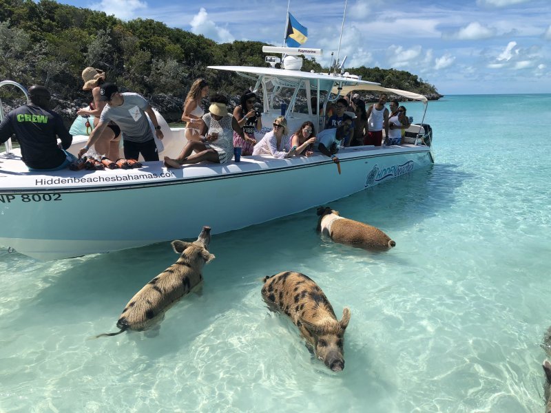 Встреча туристов на Багамах