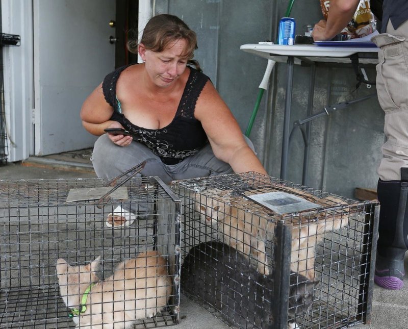 Спасительницу кошек и собак арестовали за организацию стихийного приюта во время наводнения 