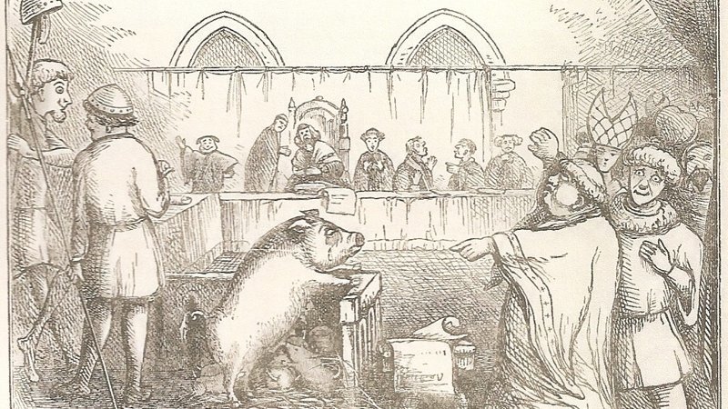 В средневековой Европе животных судили наравне с людьми. Самое раннее упоминание этого — суд над свиньёй в 1266 году в Фонтеней-о-Роз