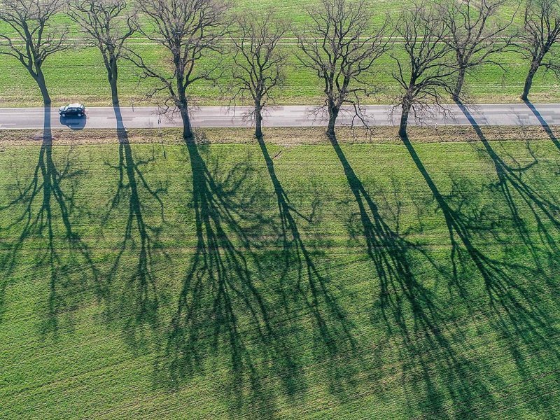 Длинные тени вдоль проселочной дороги в Зиверсдорфе, Германия, 9 апреля 2018 года