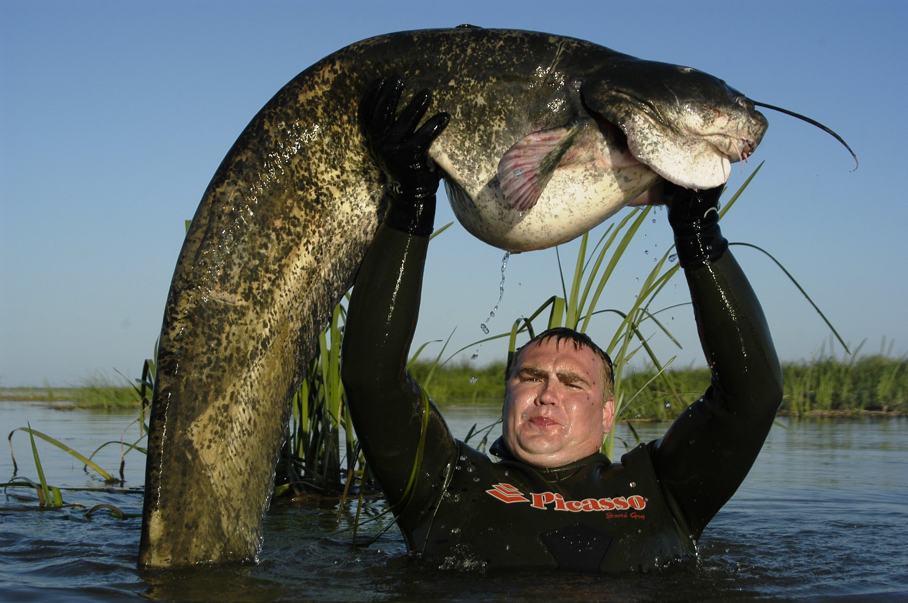 Ловля сома на волге. Дельта Волги рыбалка. Подводная охота на раскатах в Астрахани.