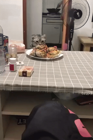 Обалдел от такого количества вкусного