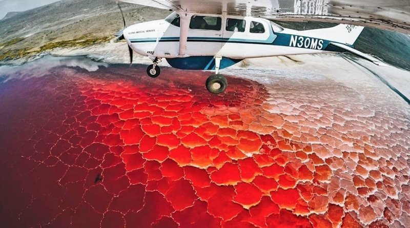 1. Озеро Натрон покрыто коркой соли, которая появляется из-за микроорганизмов, живущих там