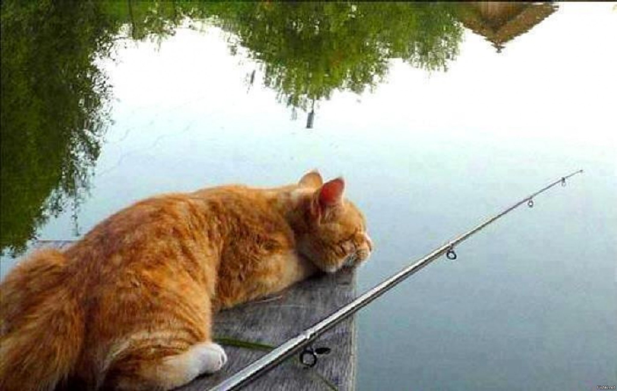 картинки идти на рыбалку