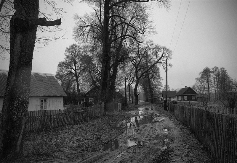 Политические коментарии соцсетей - 596