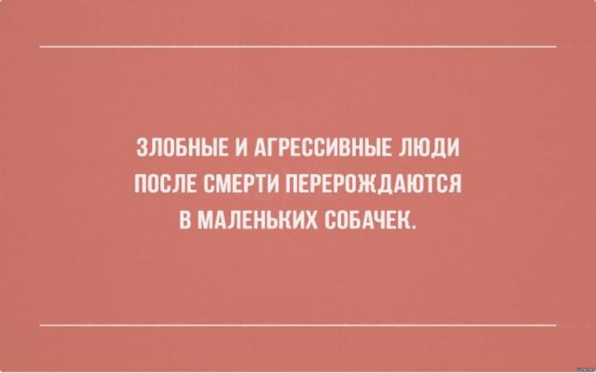 Думаю необходимо. Приключения человека работника. Чтобы решить проблему нужно думать как проблема. Невероятные приключения человека работника. Смешные цитаты про проблемы.