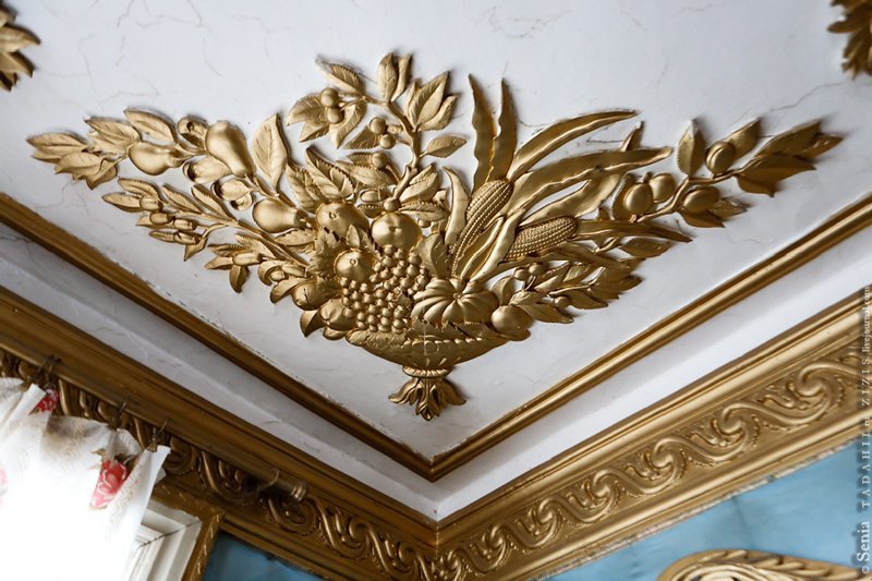 Житель Брянской области превратил свой дом во дворец