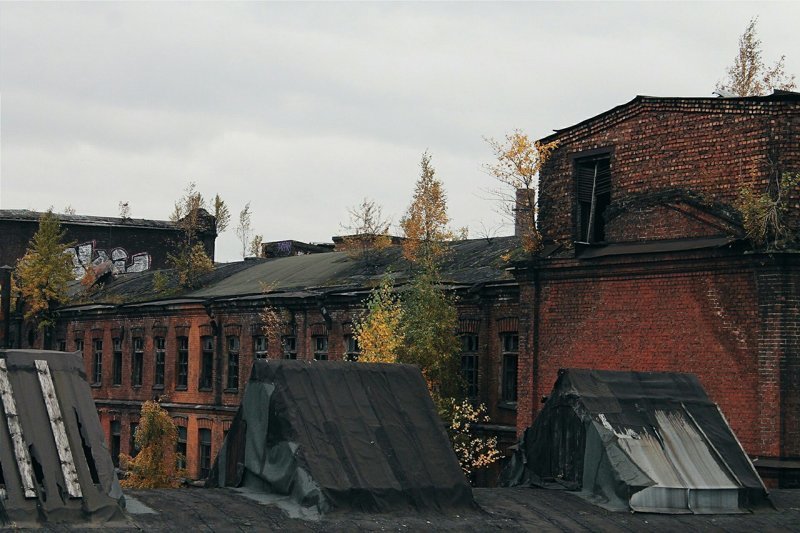 Завод «Красный Треугольник»: одно из мест силы Петербурга