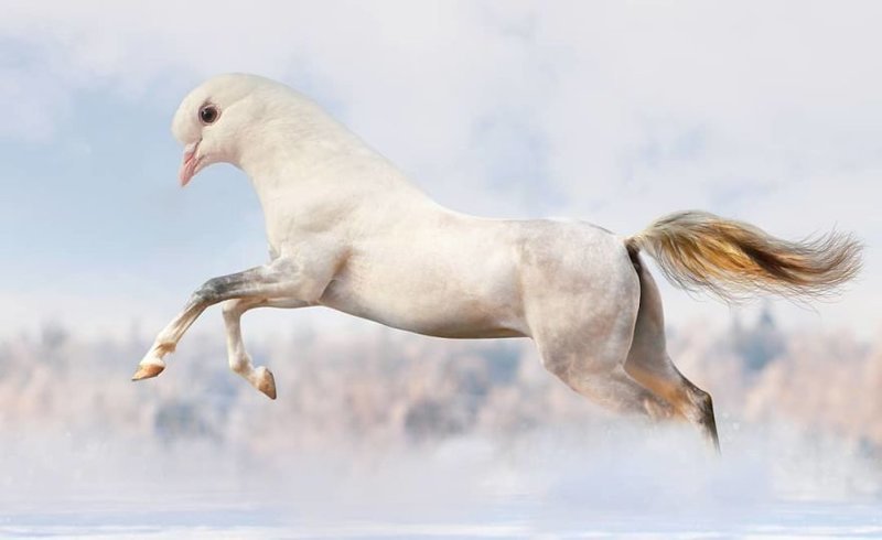Норвежский художник занимается выведением новых видов животных в фотошопе
