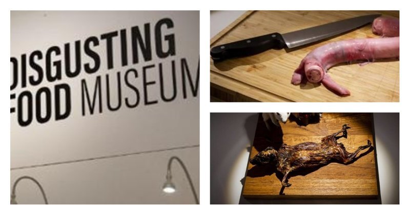 Бычий пенис, дуриан и кое-что еще: в Швеции открывают музей отвратительной еды