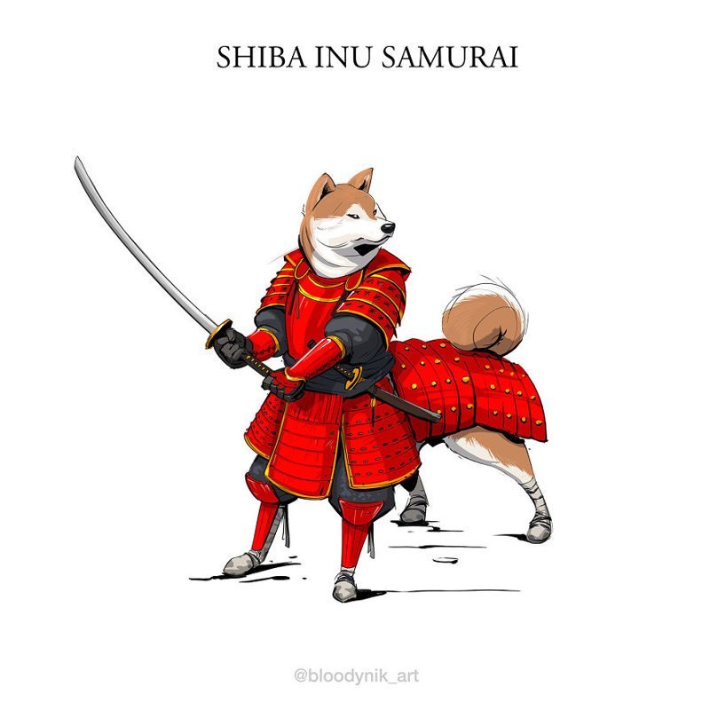Сиба-ину-самурай
