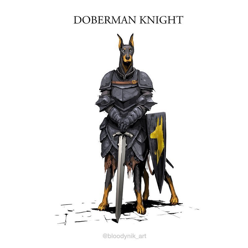 Доберман-рыцарь  