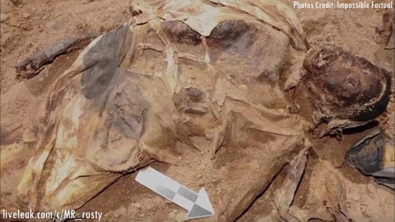 Ученые из США установили личность женщины, найденной в железном гробу в 2011