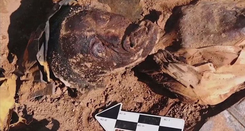 Ученые из США установили личность женщины, найденной в железном гробу в 2011