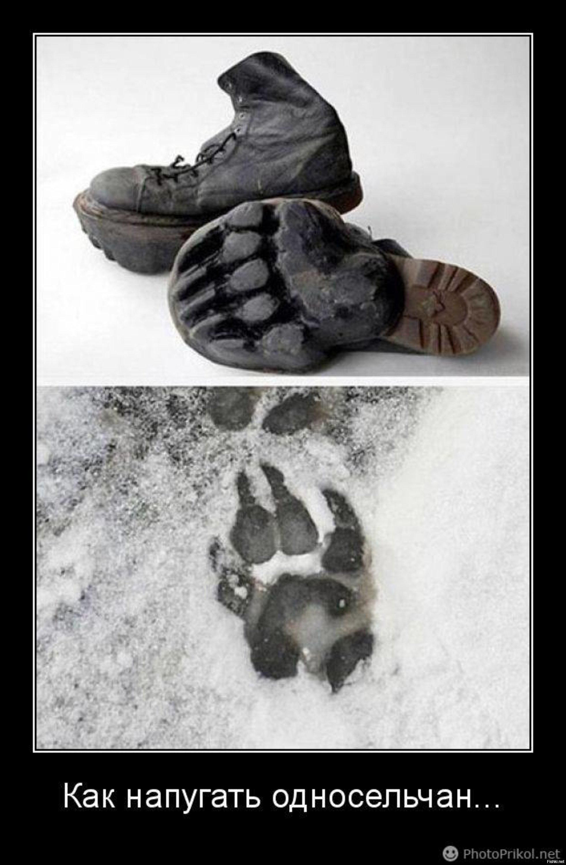 Подошвы лап. Ботинки со следами животных. Обувь с отпечатком лапы на подошве. Ботинки с подошвой со следами животного. Ботинки с подошвой след медведя.