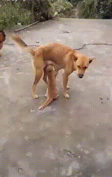 Вот это наглость