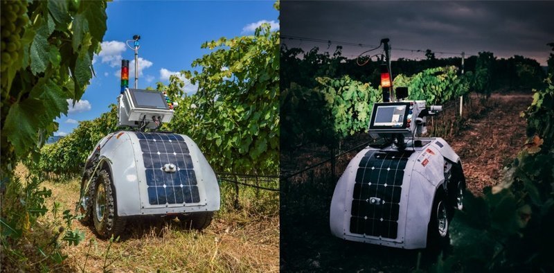 Робот, предназначенный для осуществления контроля и мониторинга за ухоженностью и безопасности виноградных участков
