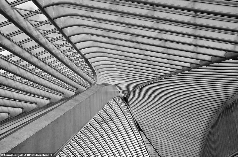 Потолок железнодорожной станции Льеж-Гиллеминс, Бельгия. Фотограф - Сурай Гарг (Великобритания), категория "интерьер"