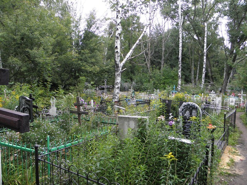 Дневник кладбищенского сторожа, часть первая