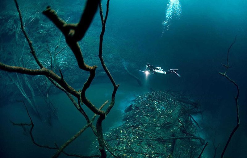 Удивительные фотографии, которые были сняты под водой