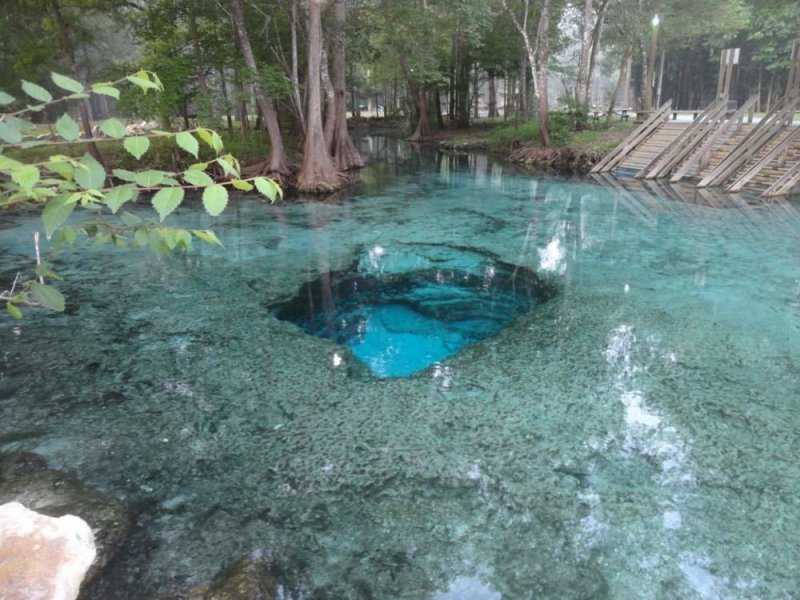 Сказочный пруд во Флориде