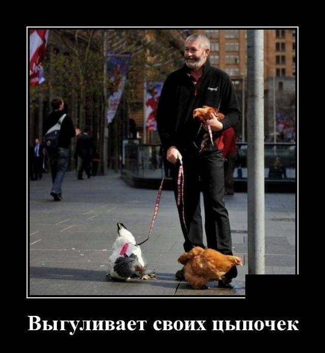 Демотиваторы