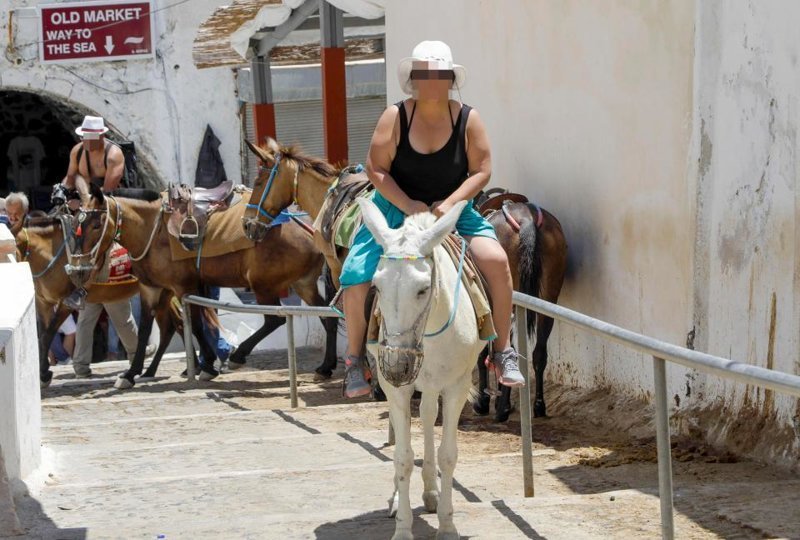 Толстым туристам в Греции запретили кататься на ослах