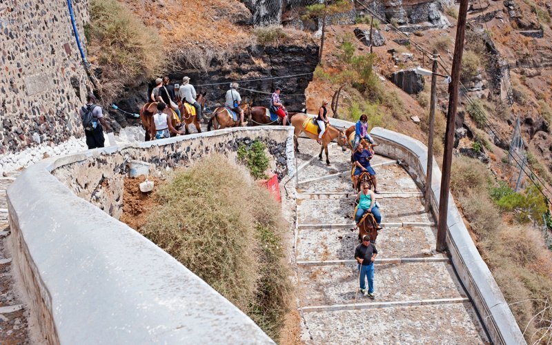 Толстым туристам в Греции запретили кататься на ослах