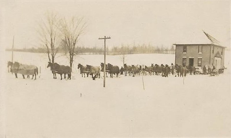 Фотография с открытки 1909 года: 24 лошади перемещают дом в американском регионе Верхний Средний Запад