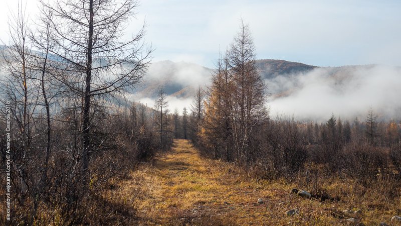 Утро. Джергинский караул