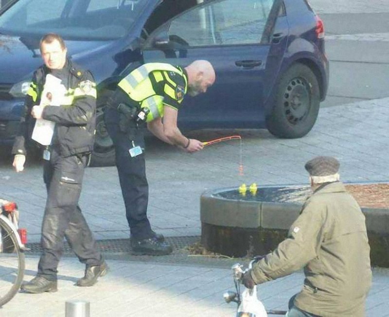 Нидерландская полиция