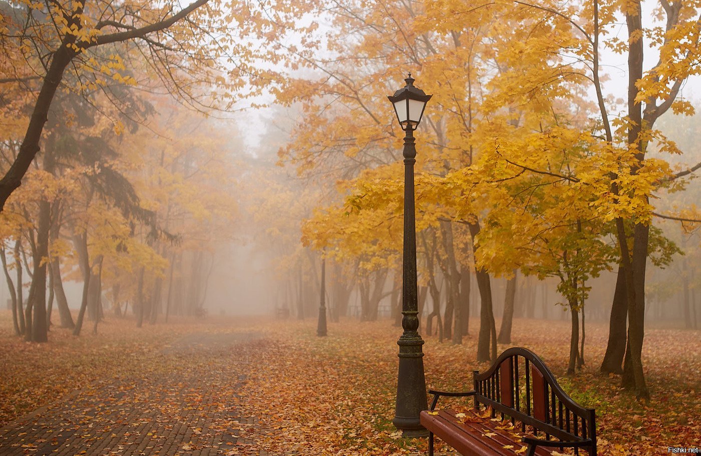 Осень парк туман