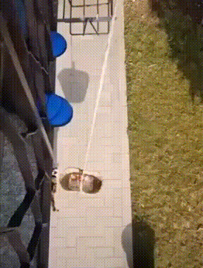 Транспортировка котовича на верхний этаж