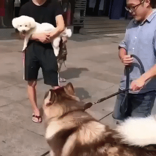 Чем я хуже него