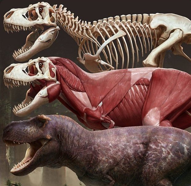 Ученые выяснили, как на самом деле выглядел тираннозавр
