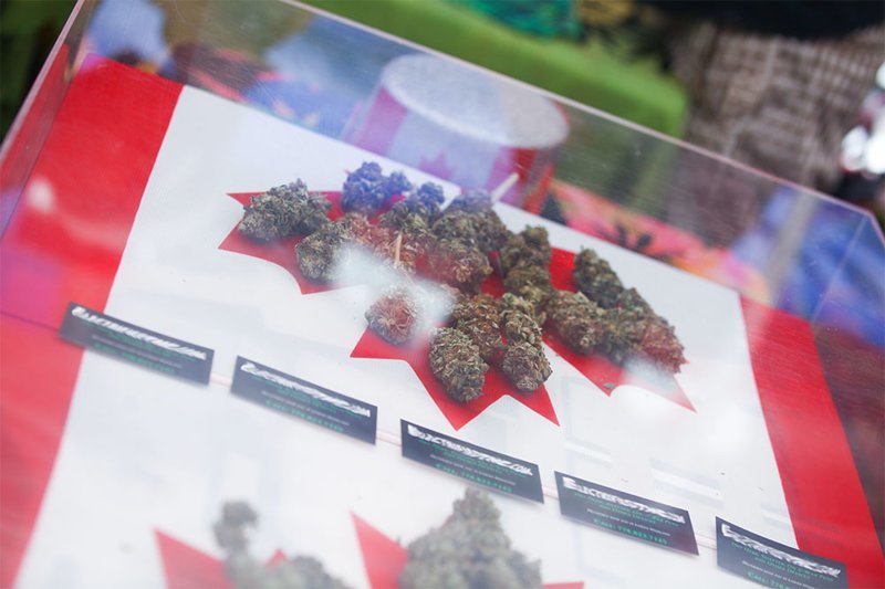 В Канаде легализовали марихуану, но России с ней не по пути