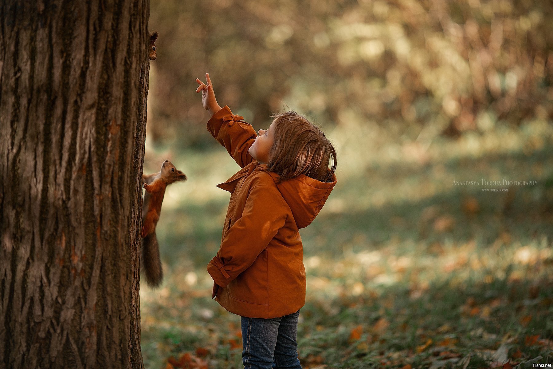 Дерево осень для детей