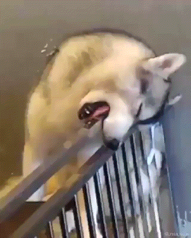 А в какой позе спите вы?