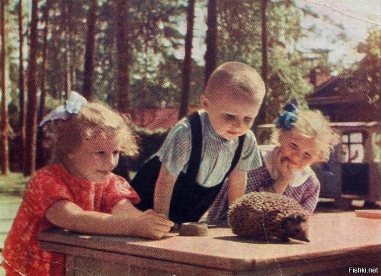 Открытки и фотографии ссср