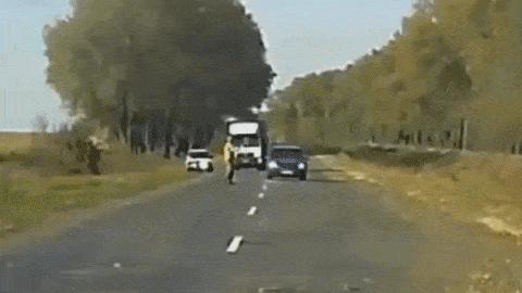 Гифки дня Гифки дня